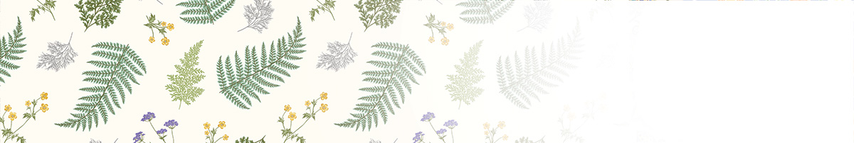 Whispering Lillies Gradient